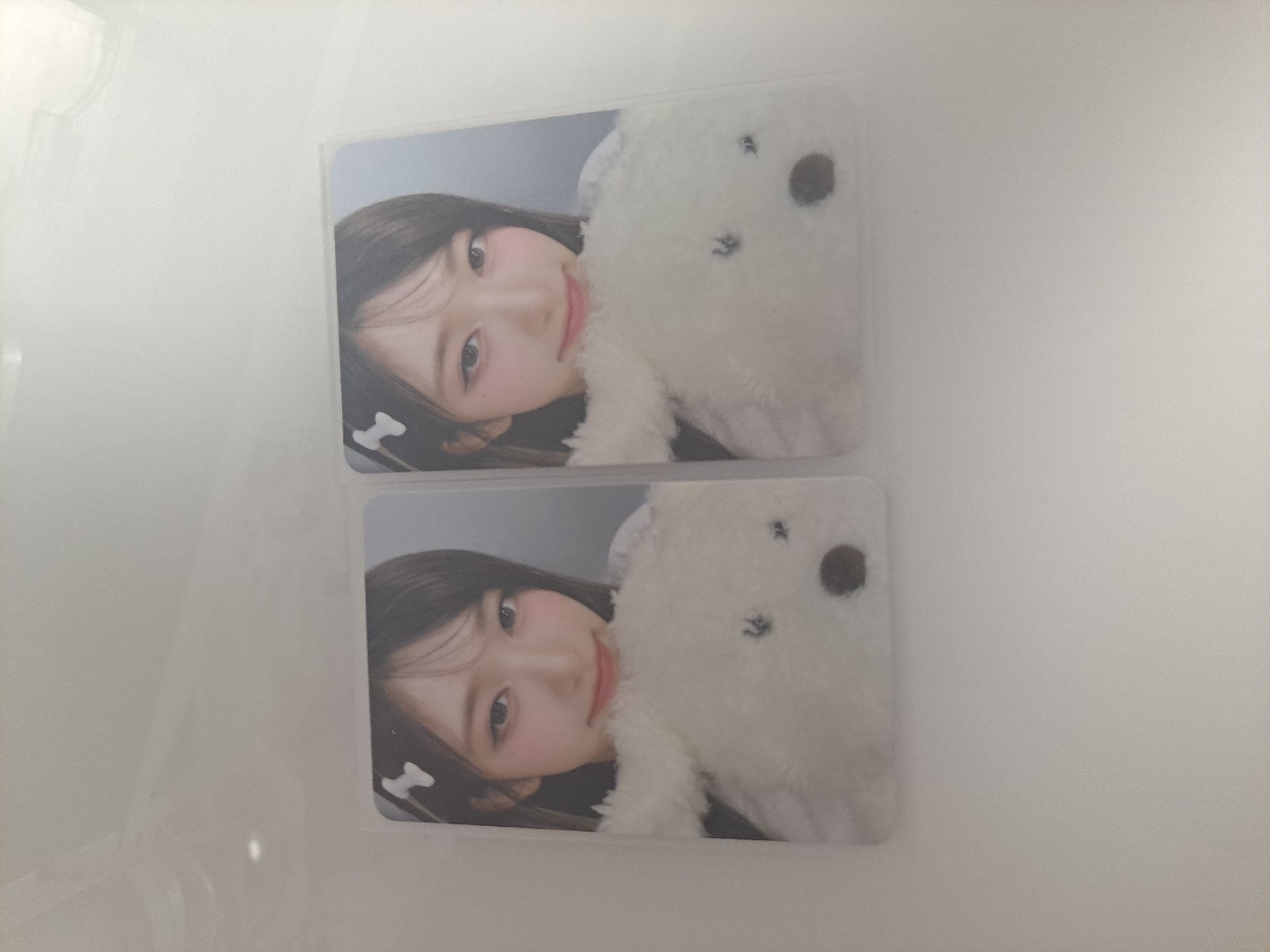 hl狗狗瑞