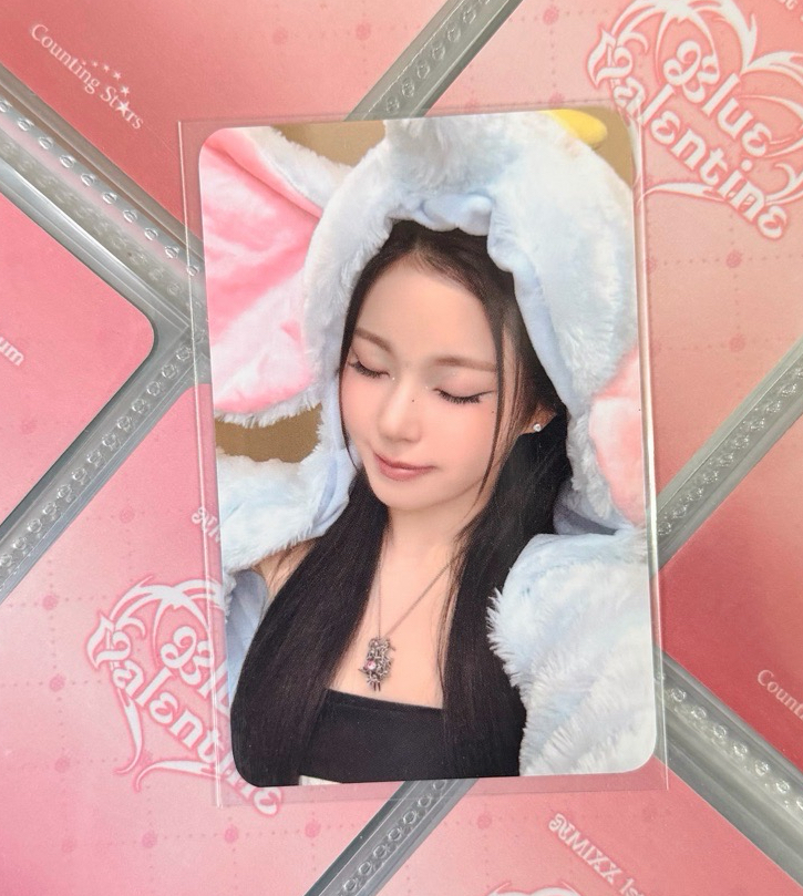 小飛象圭