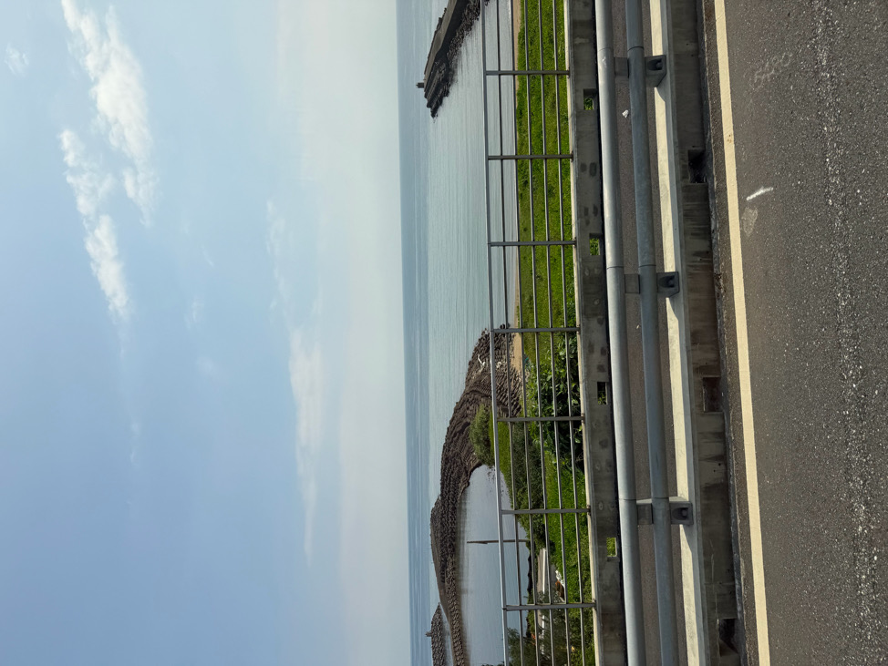 依薇