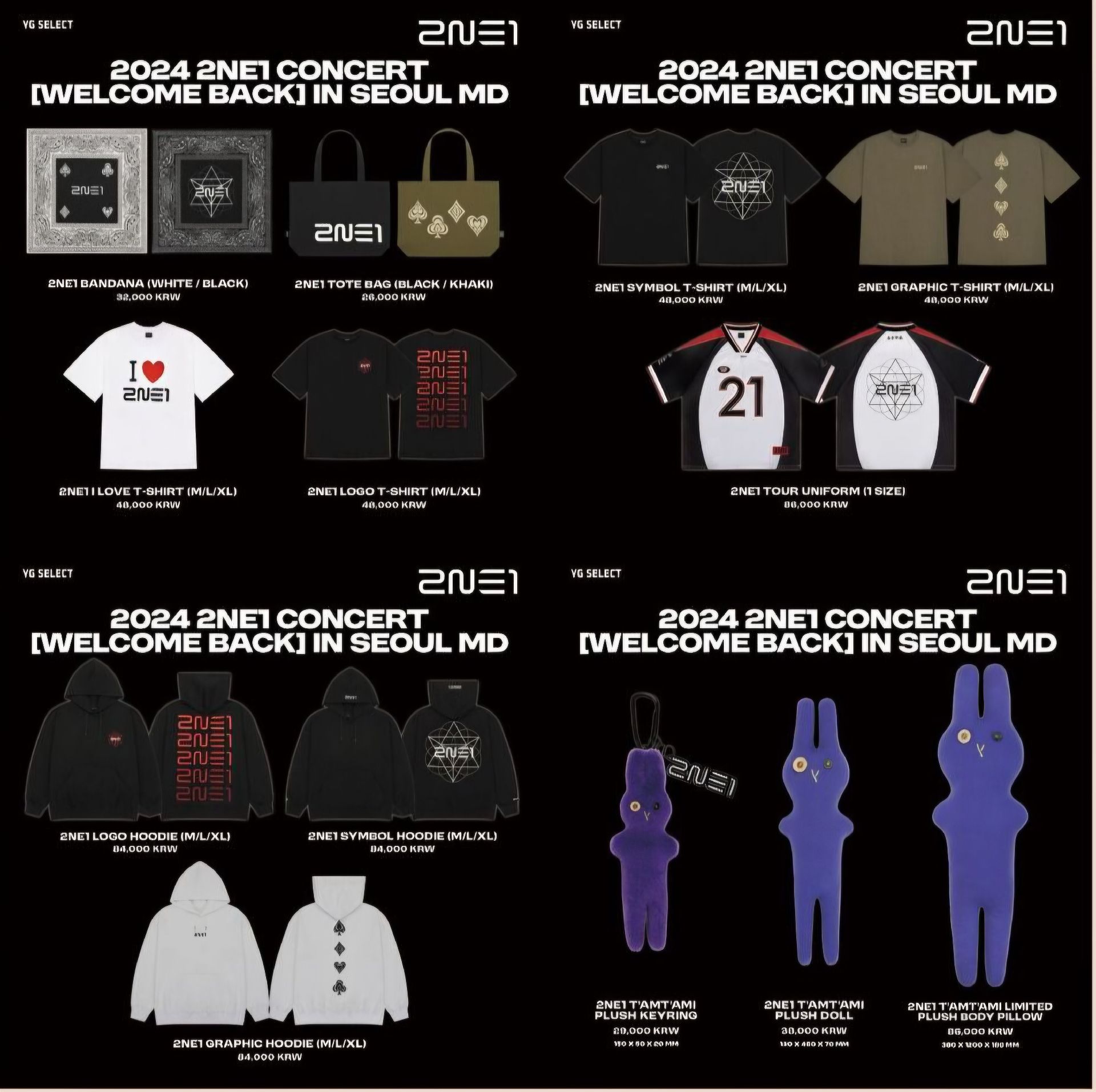 2024 2NE1 CONCERT IWELCOME BACKI IN SEOUL