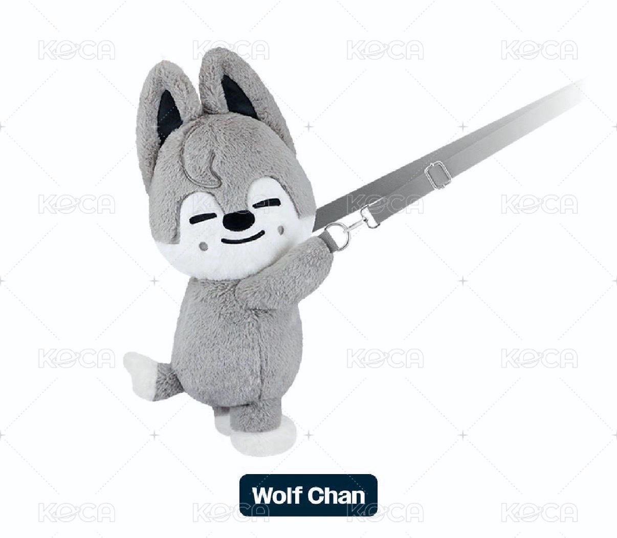燦側背