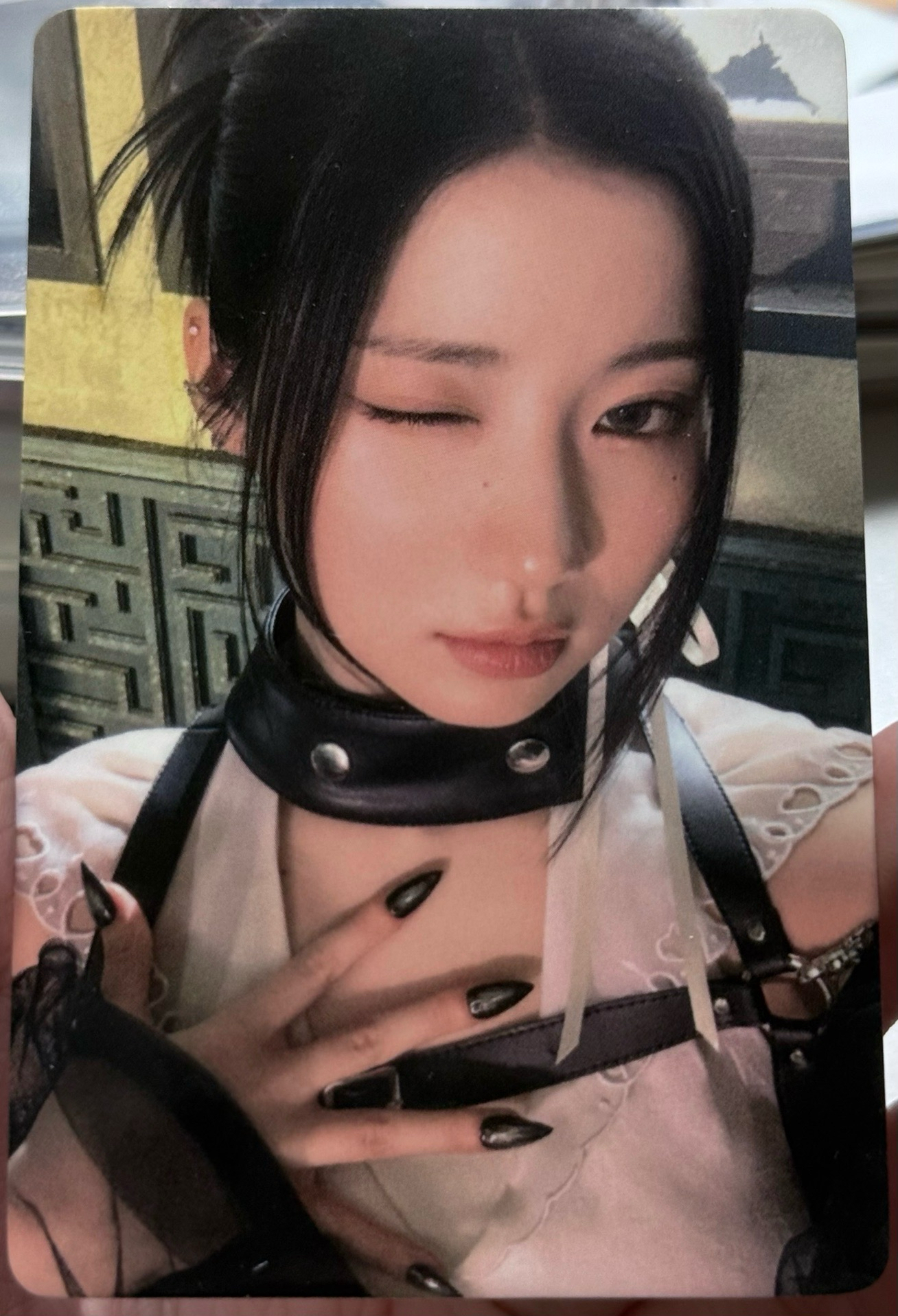 wink角 中文卡背