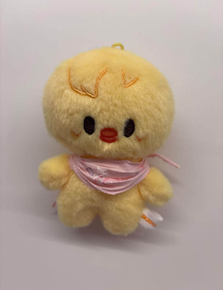 🐤