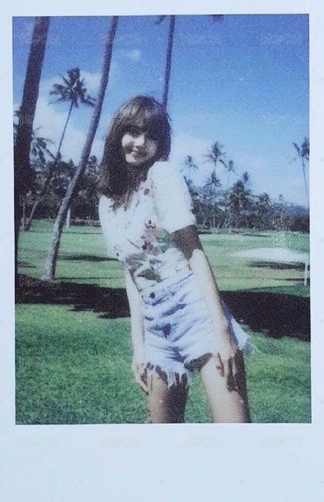 夏威夷莎合售