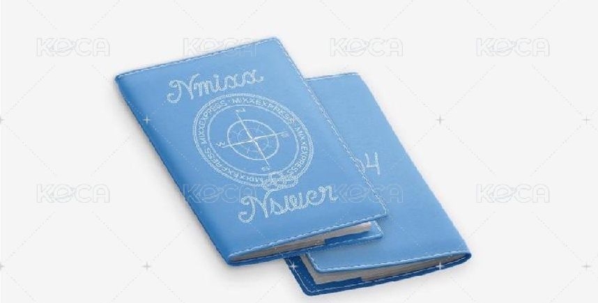 nmixx護照套 已含綁