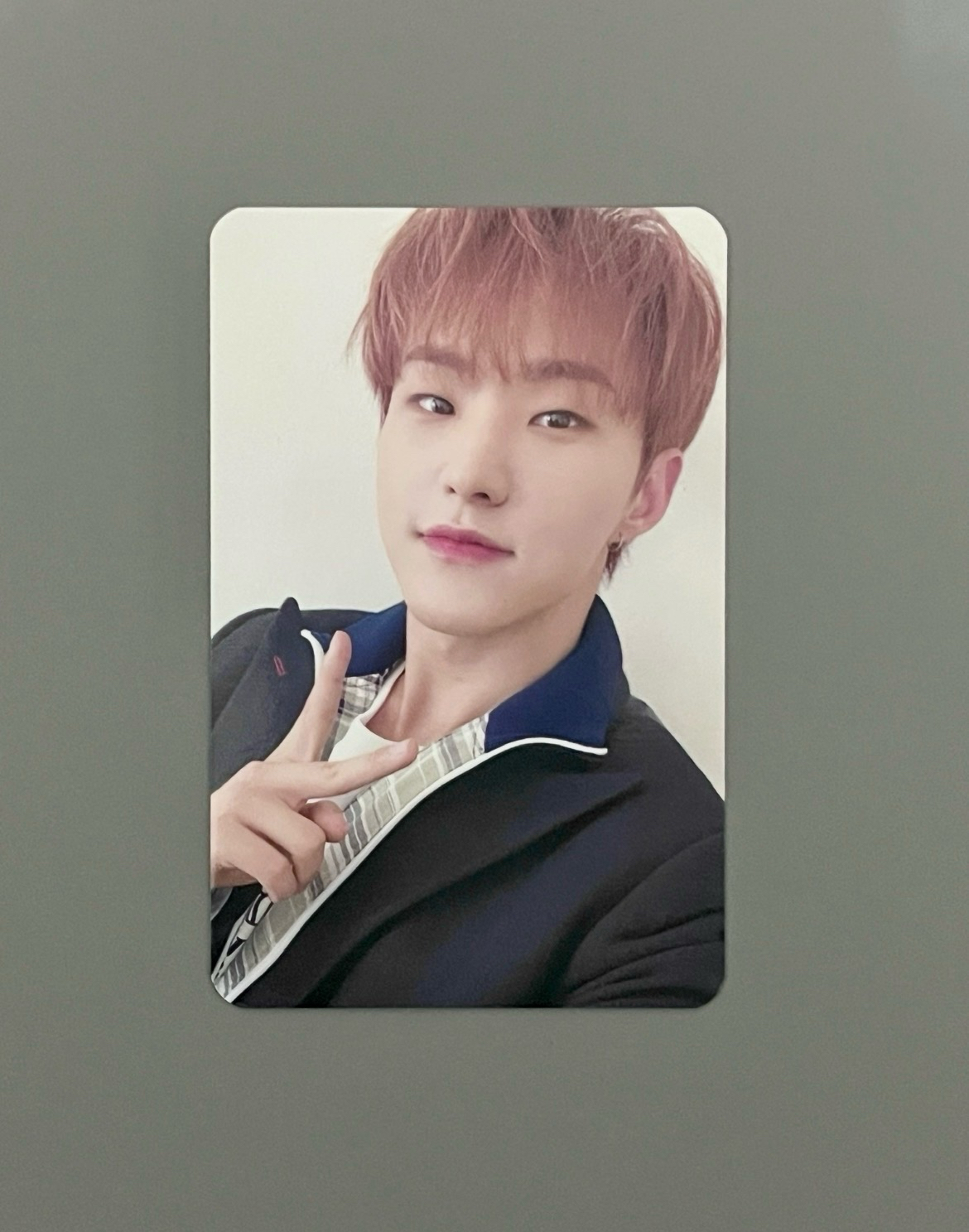 權順榮 HOSHI 粉髮榮 seventeen 