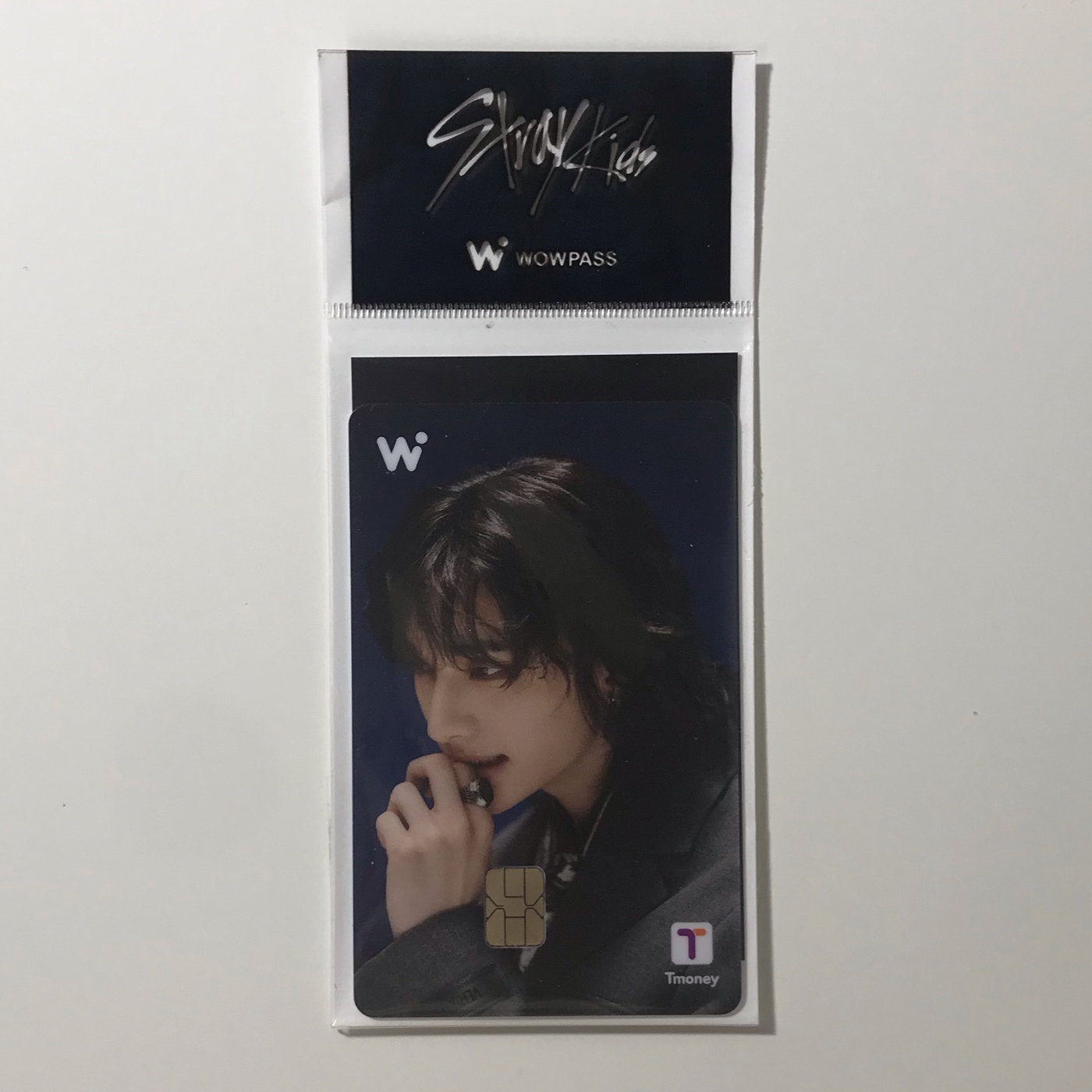 辰 WOWPASS