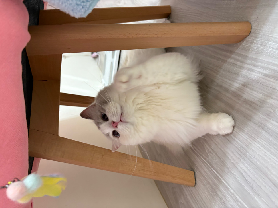 訓尼