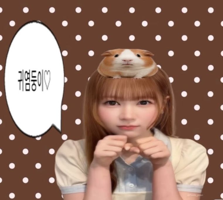 奈延小盤