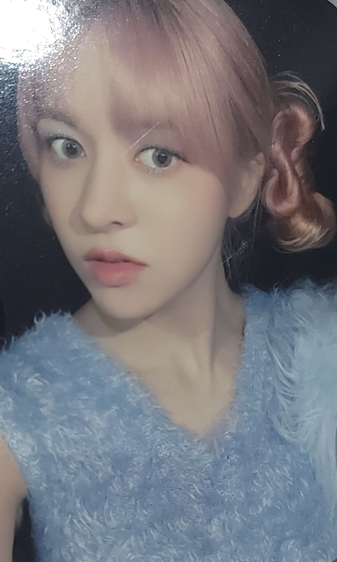 莉中文卡背✨️