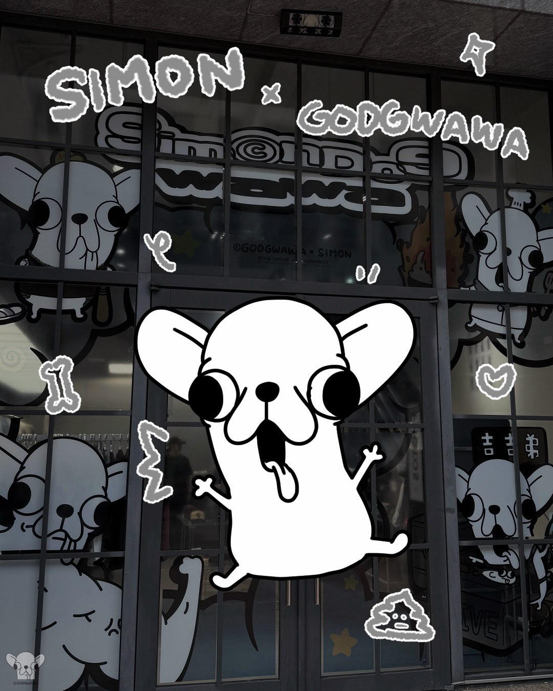 變種吉娃娃XSIMON