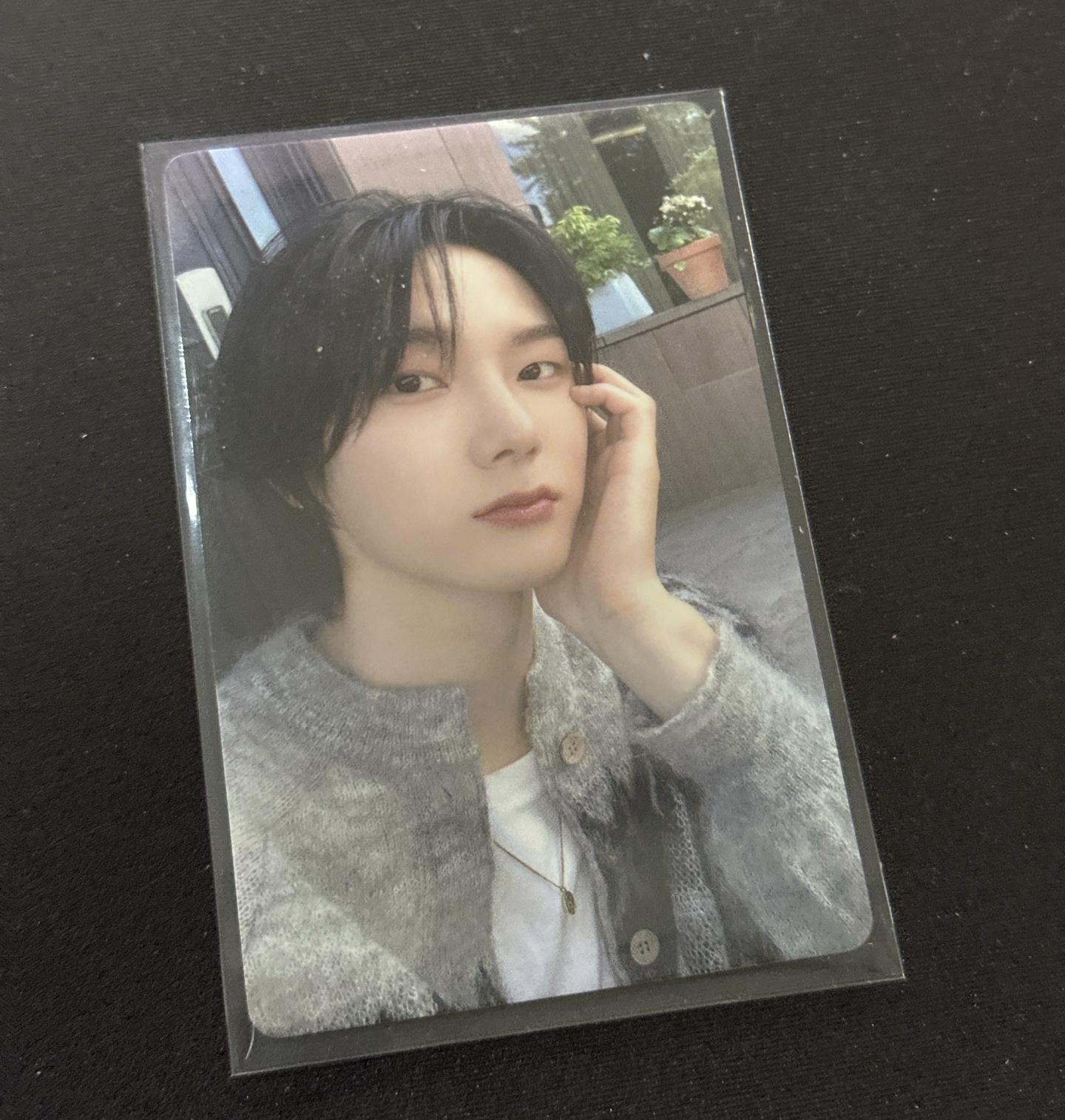 🩵🐈青島中字卡背