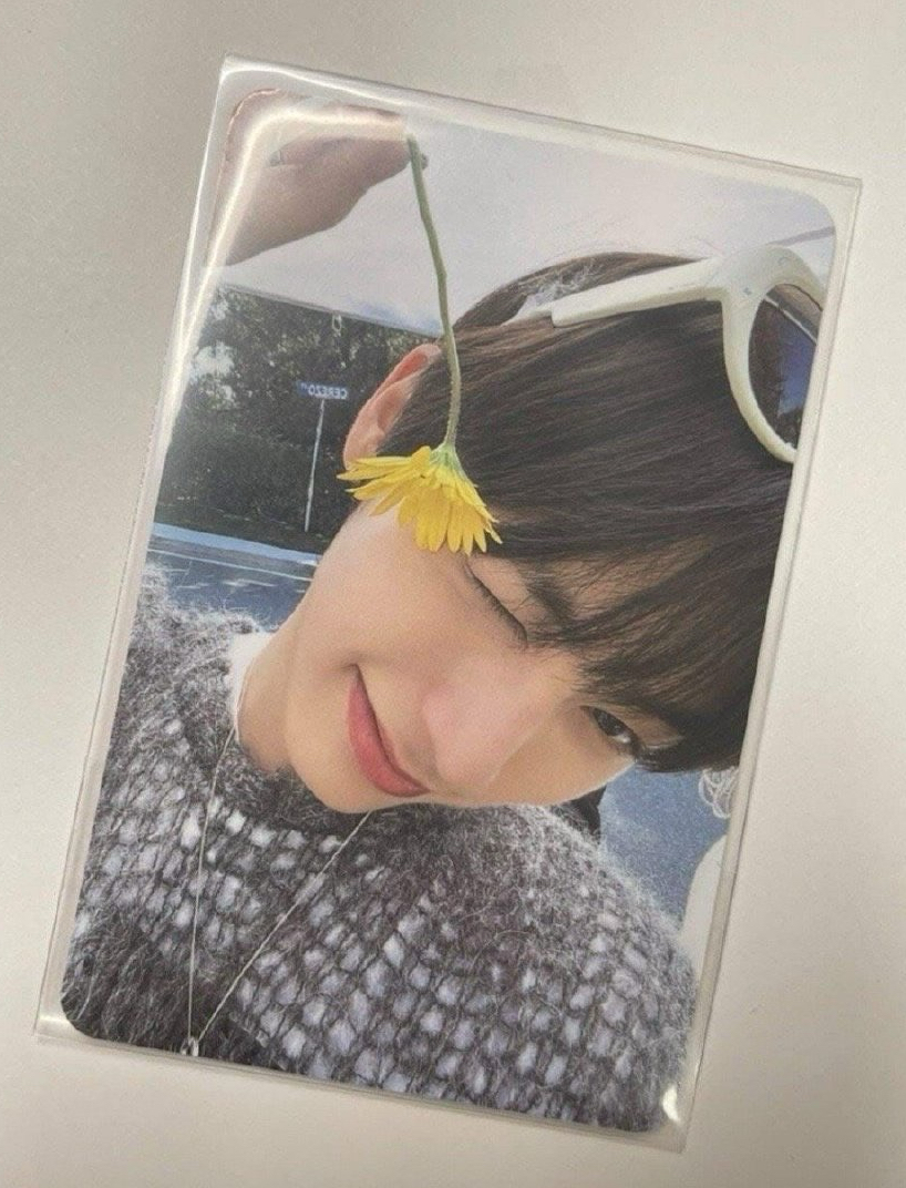小黃花4 wvs抽選卡