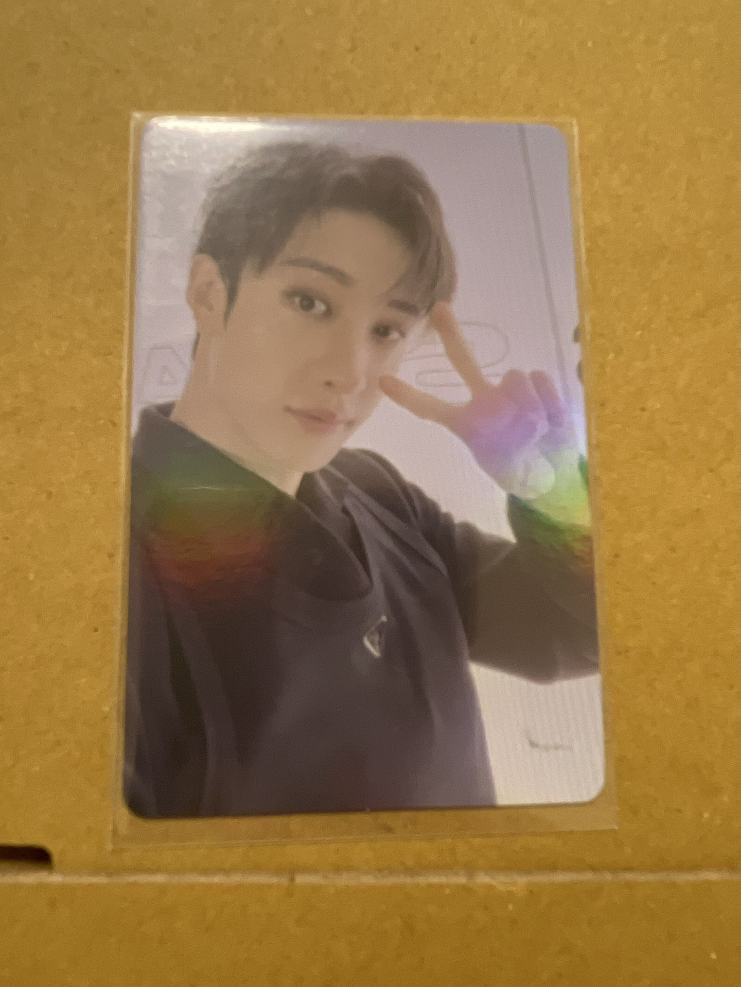 五星 YZY 1.0燦 中背