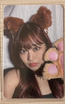 橘貓Julie（可被帶）