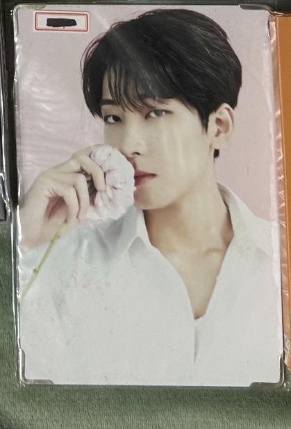 wonwoo咖啡廳相框