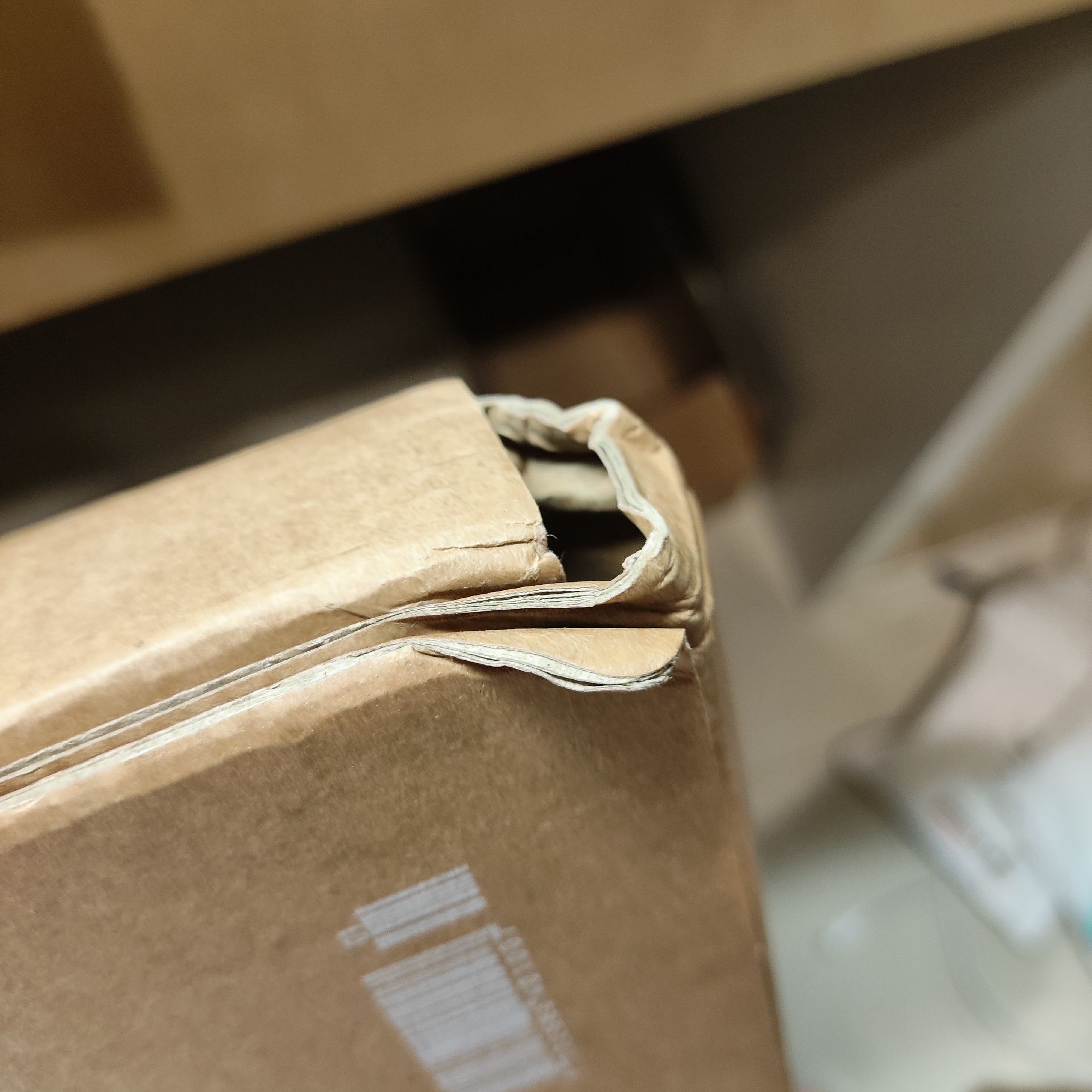 售D社Sion單寫真