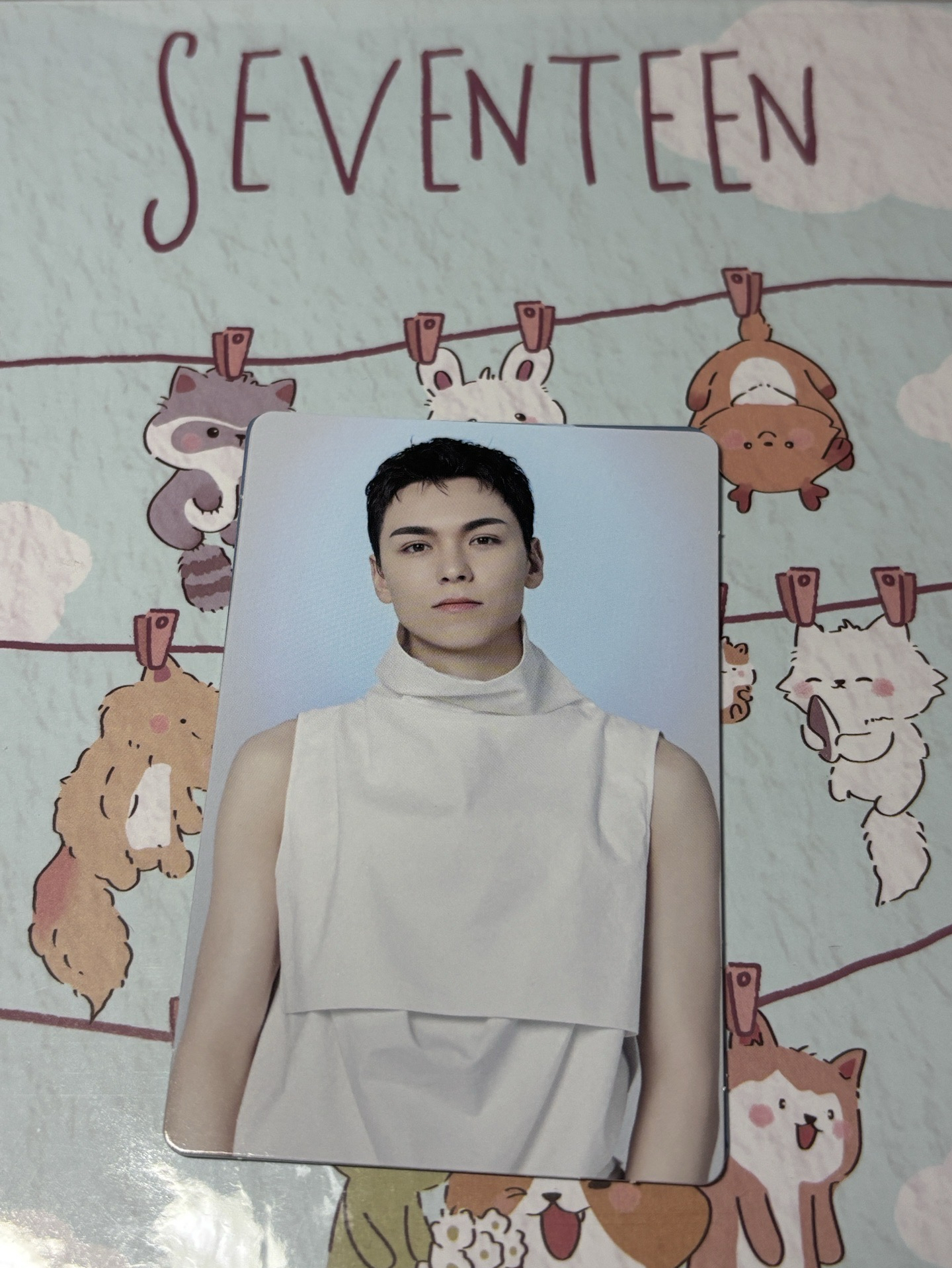 🤍 new_ 卡包卡 隨機卡 率🐻‍❄️