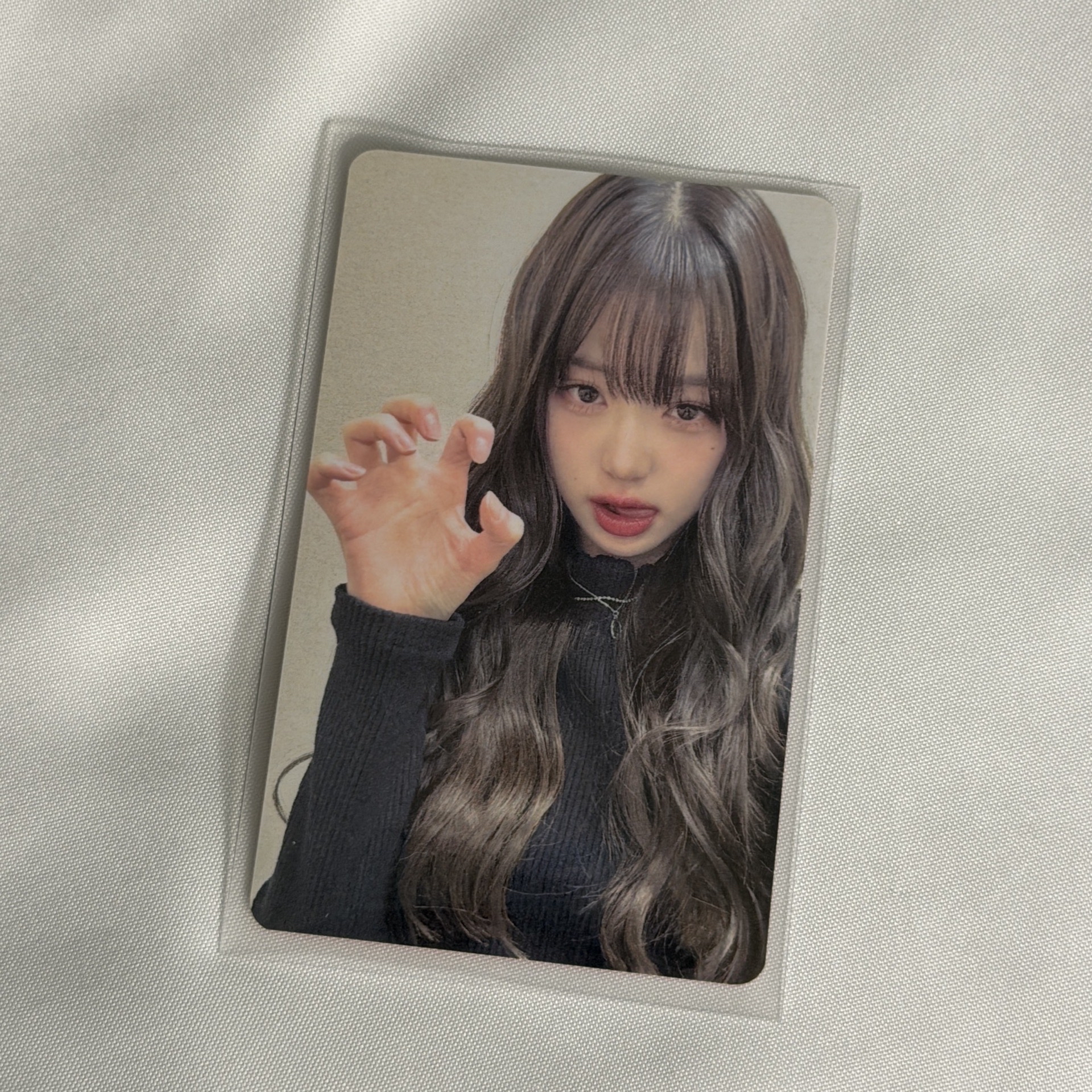 三期會員 日咖貓爪員