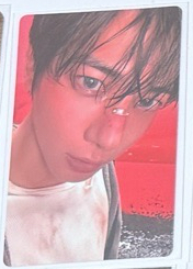 正規四 wvs預售特典