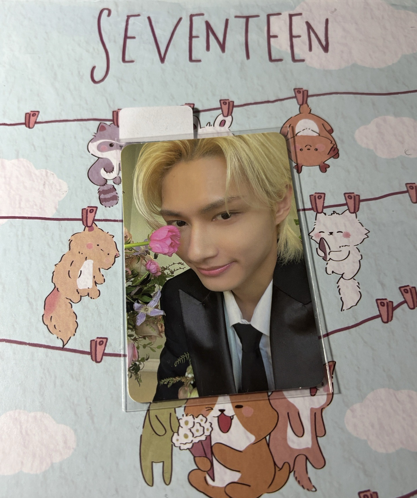 🤍迷10 克拉盤 carat ver. 專卡 俊