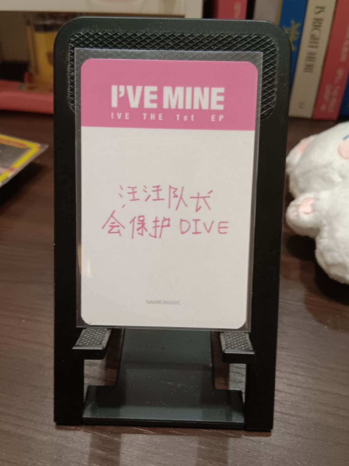 楠藝1.0特典中背