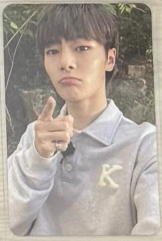 寅（可單帶/不可被綁）