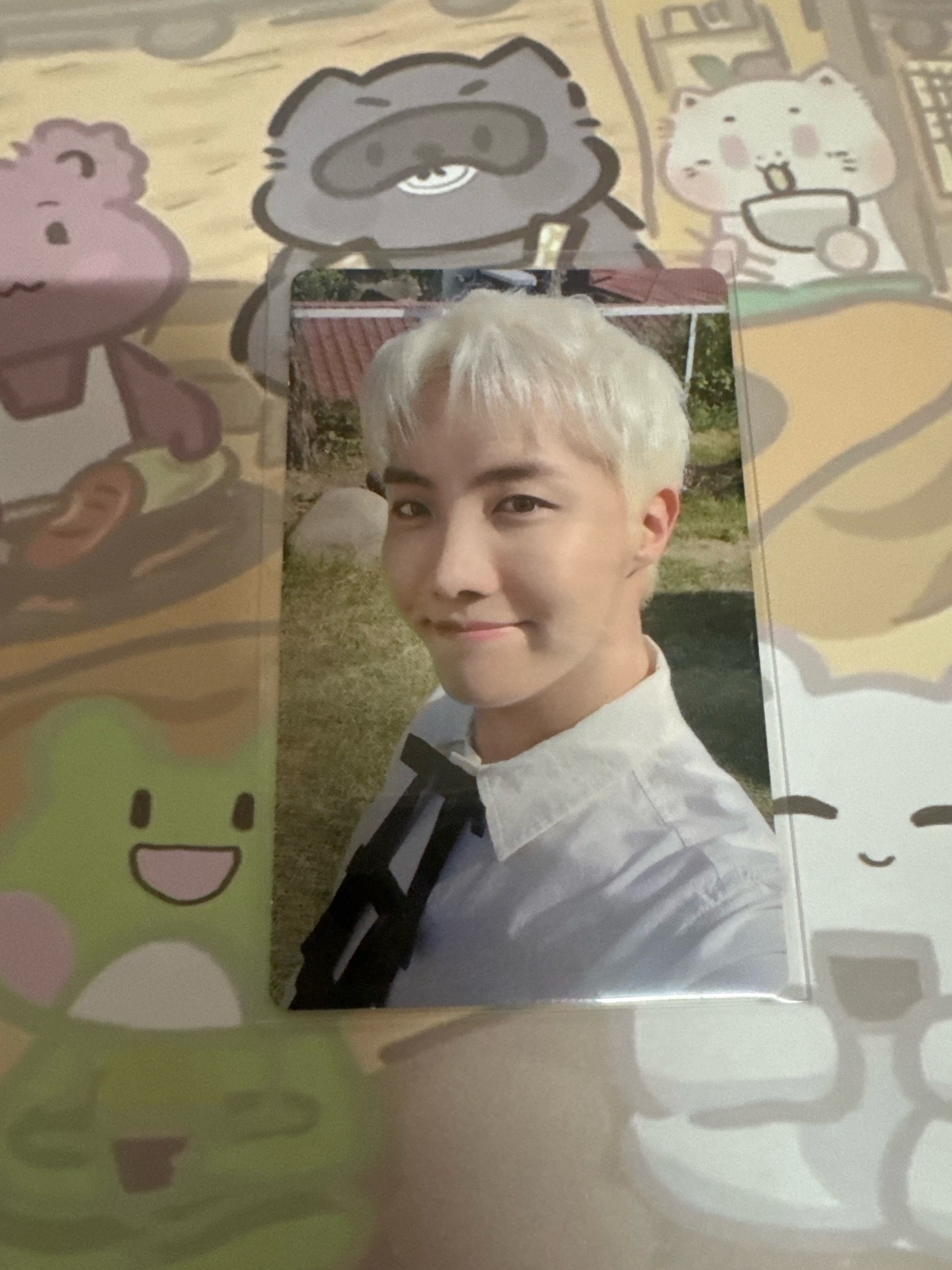 21年藍光回憶錄錫小卡