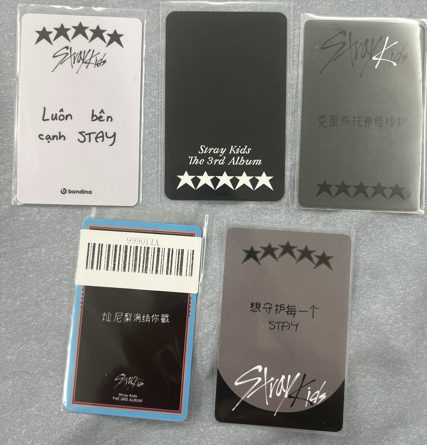 中背/越文卡背燦（需另綁）