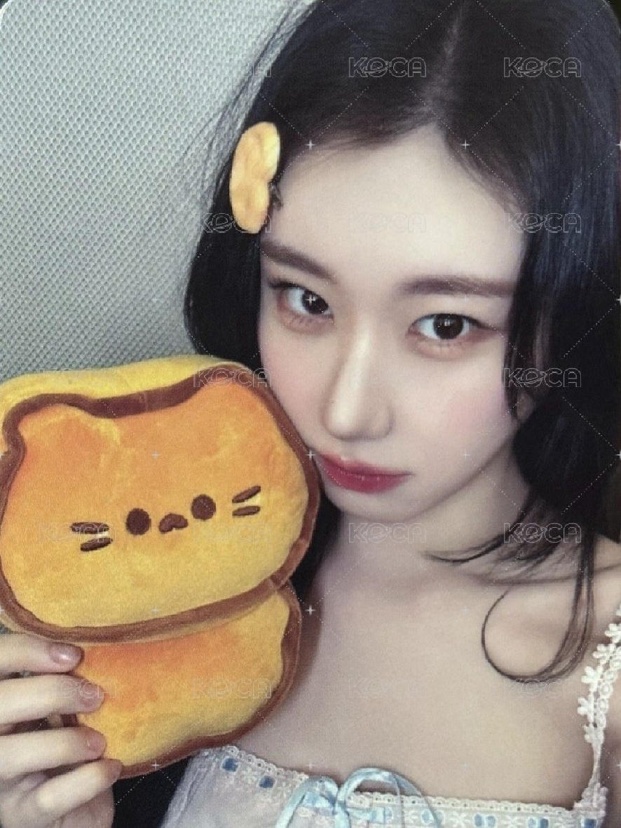 itzy李彩領麵包貓貓
