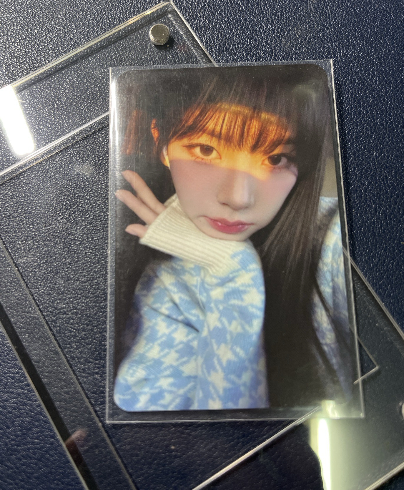 陽光柚 （降價）