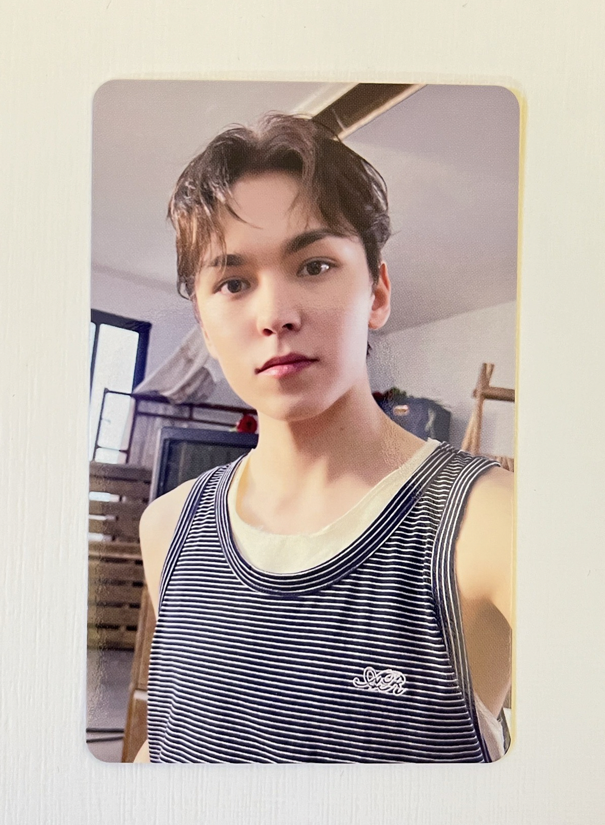 💎迷12 wvs 愛知場限 率