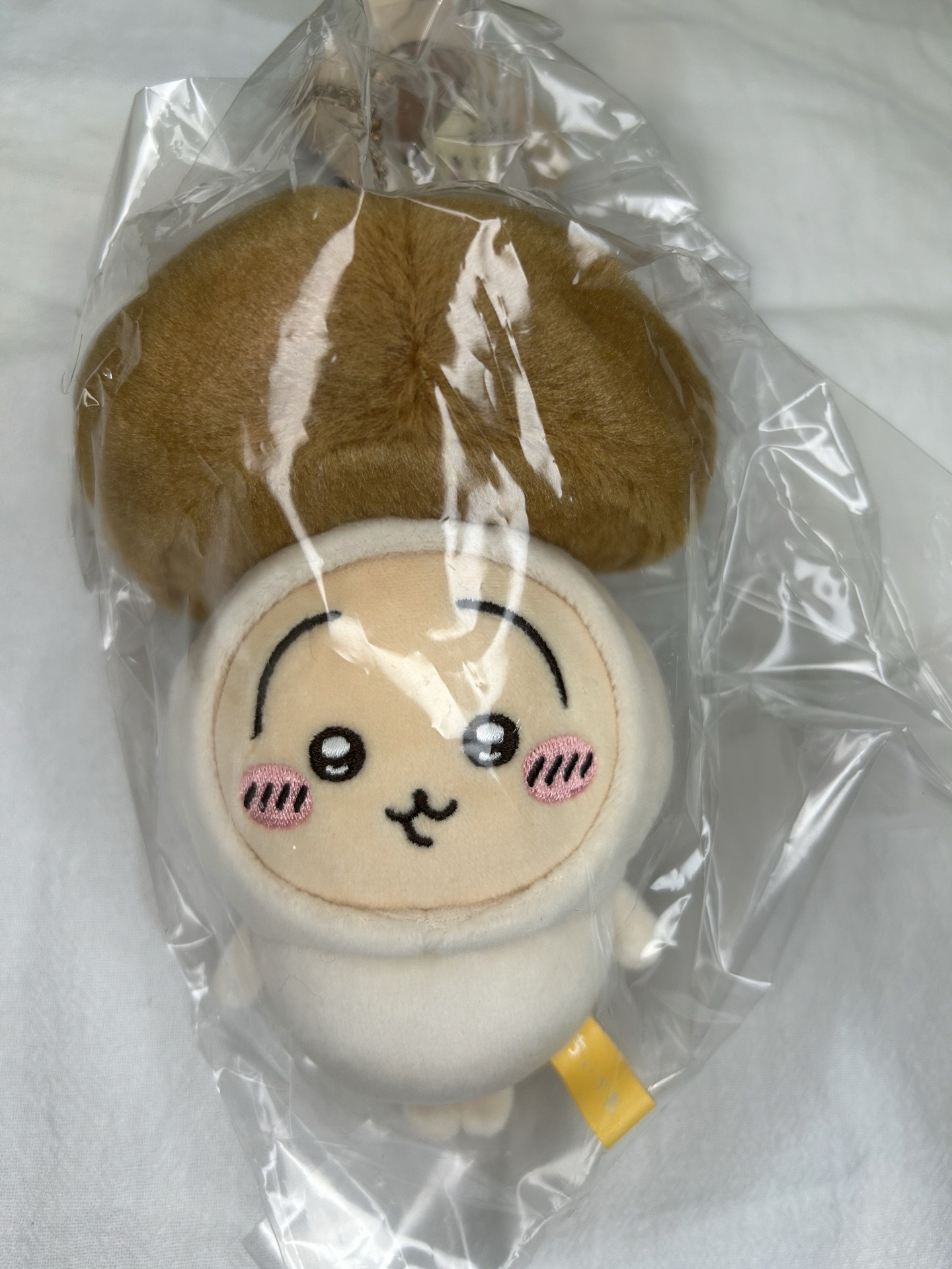 <現貨>萬聖節 兔兔