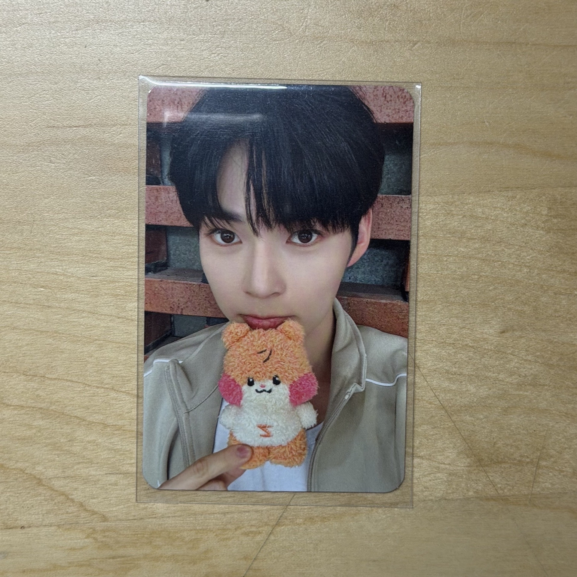 ZB1成韓彬盒娃尼尼卡