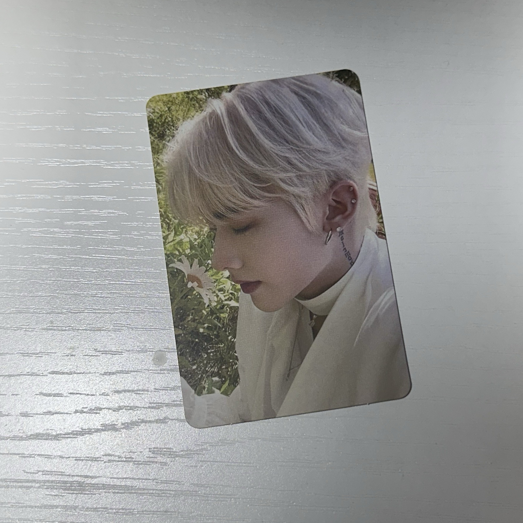 ZB1 RICKY 迷一 SW1.0草地