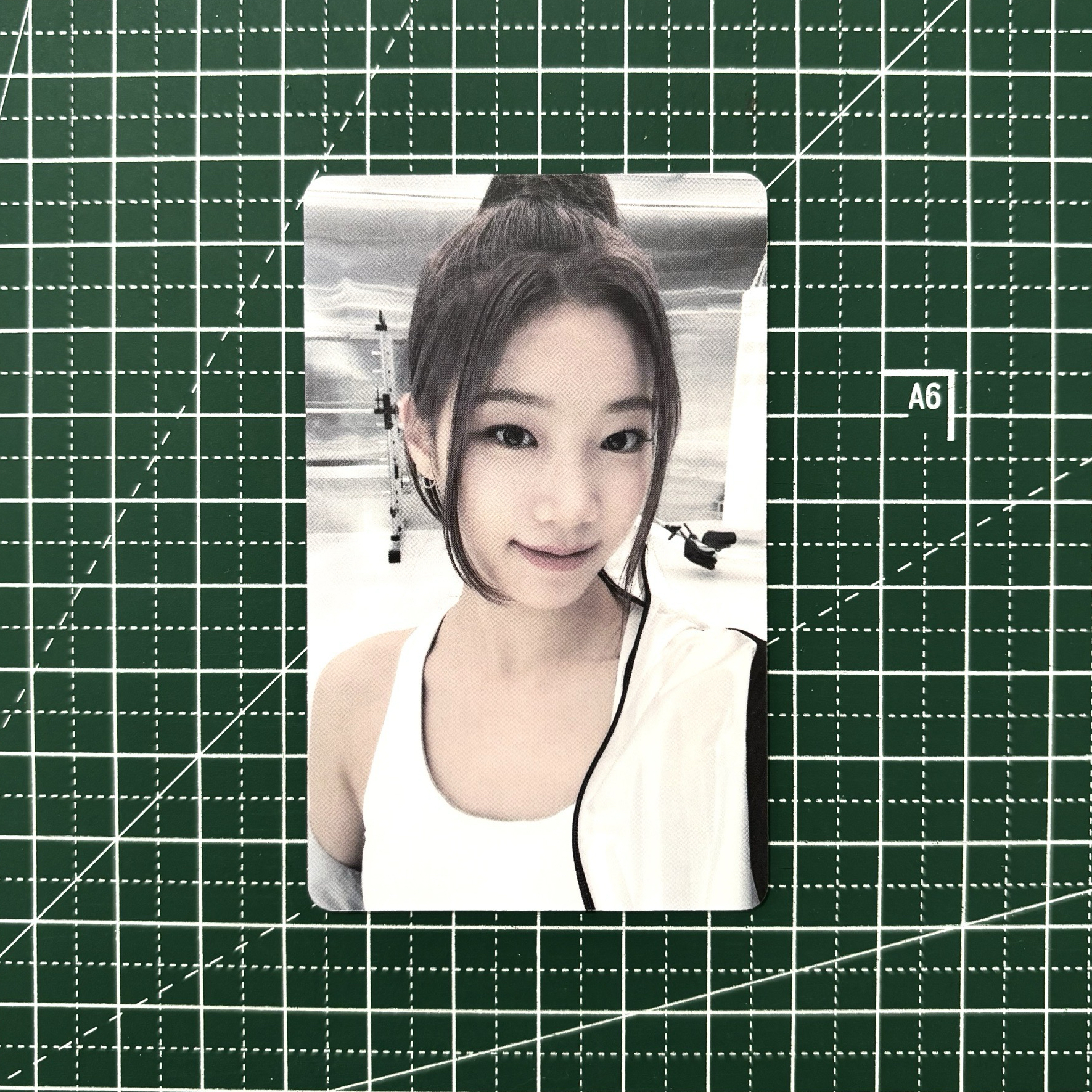 𓊆 各種 Fearless 葉 𓊇