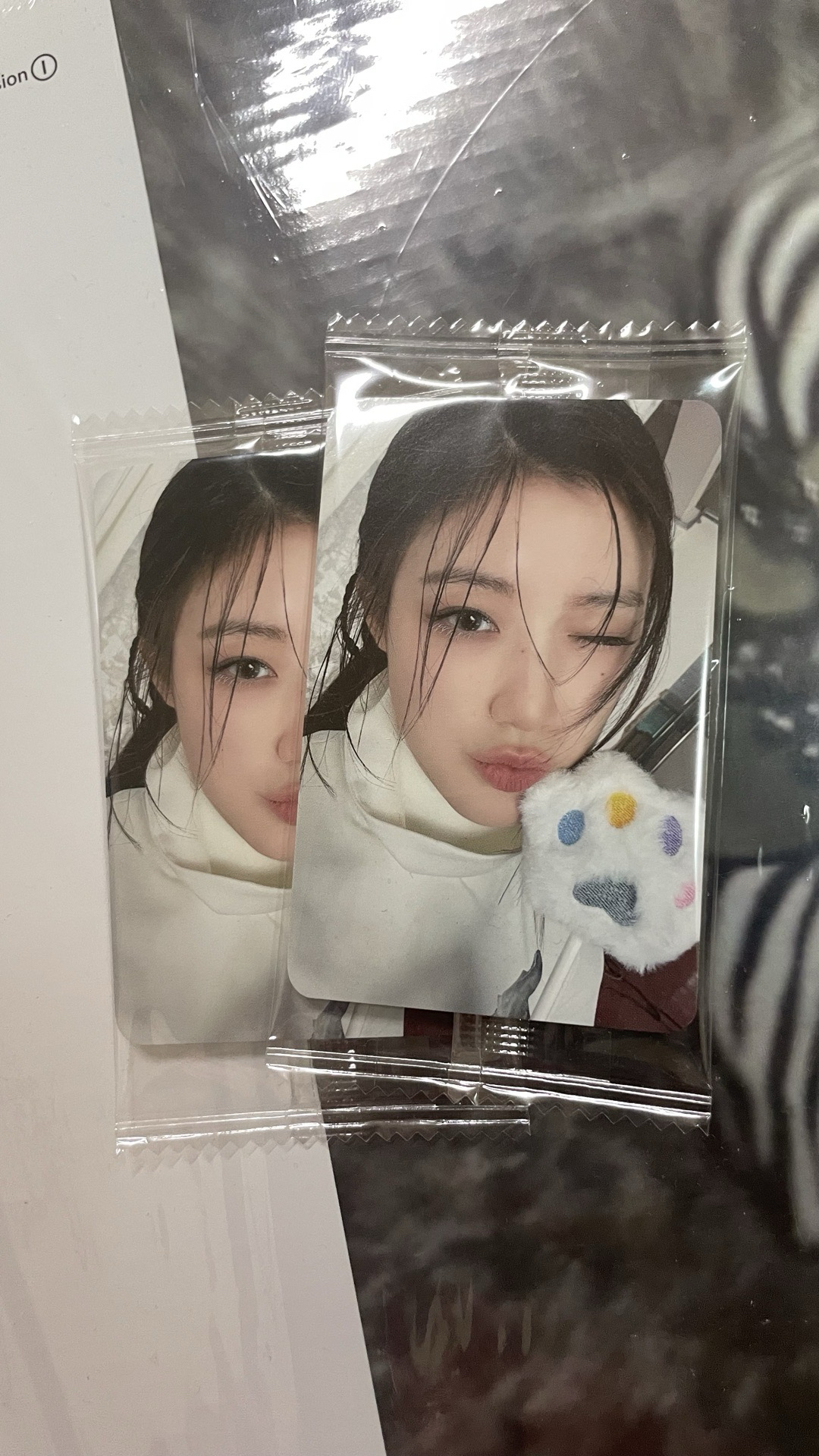 [現貨］K4預售 貓掌 刷 簽名卡背