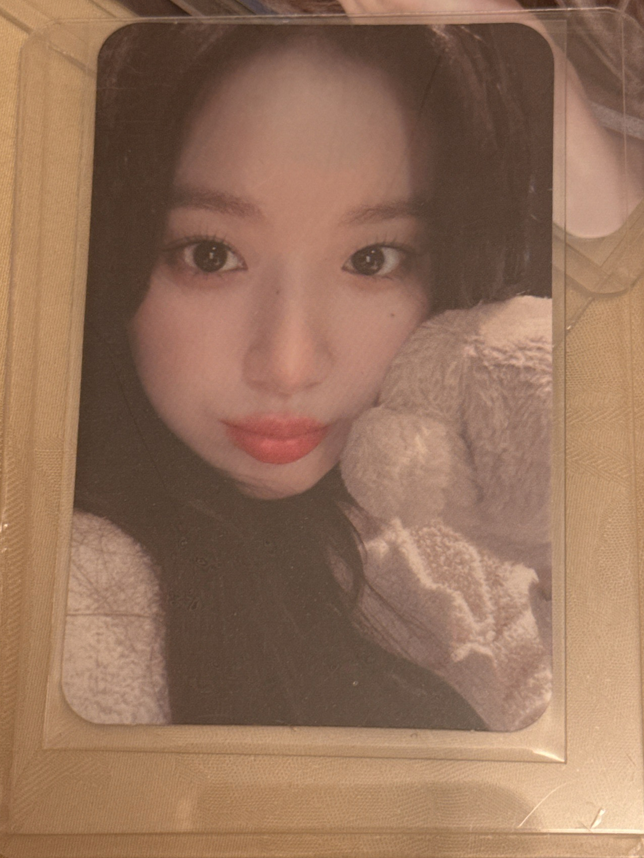 正規二 滿額卡 耳罩 舒華