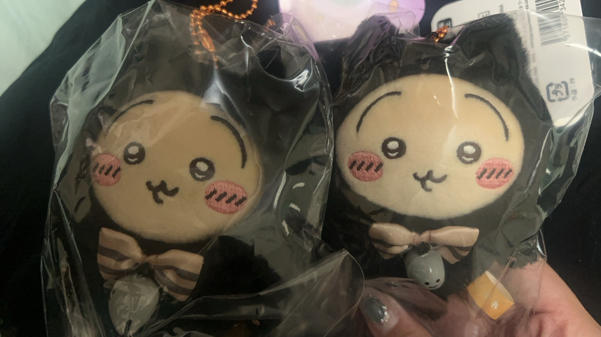 2024萬聖節 黑貓兔