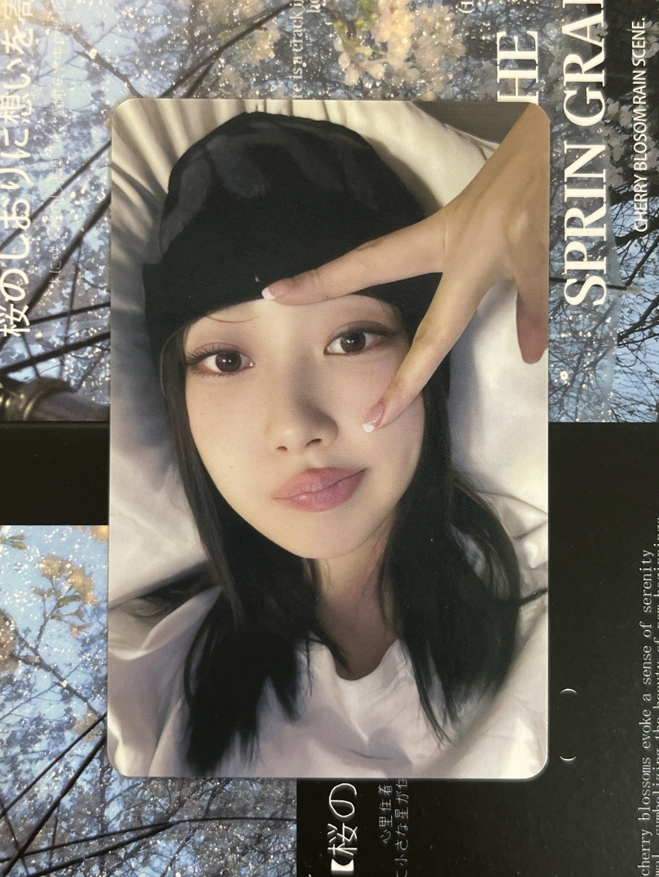 Drama sr 簽售卡 星河簽售2.0吉