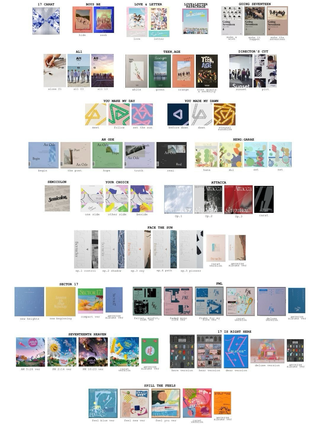 💎📚SVT 空專區