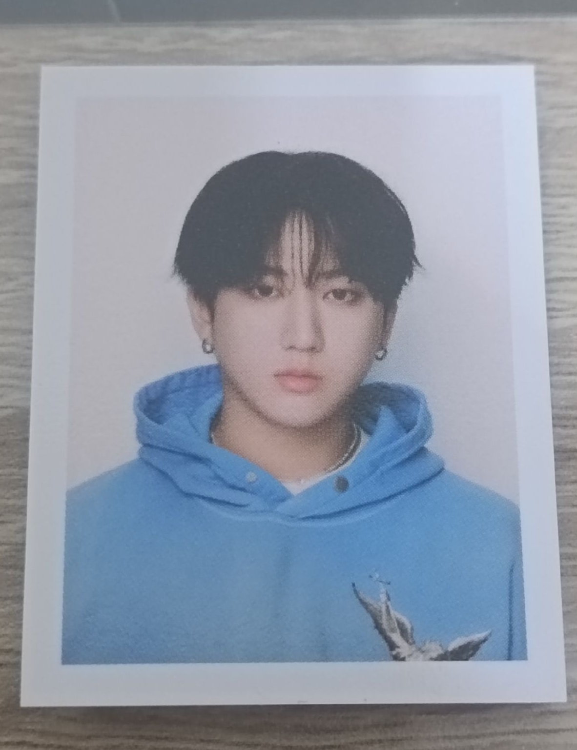 五期飯咪證件照