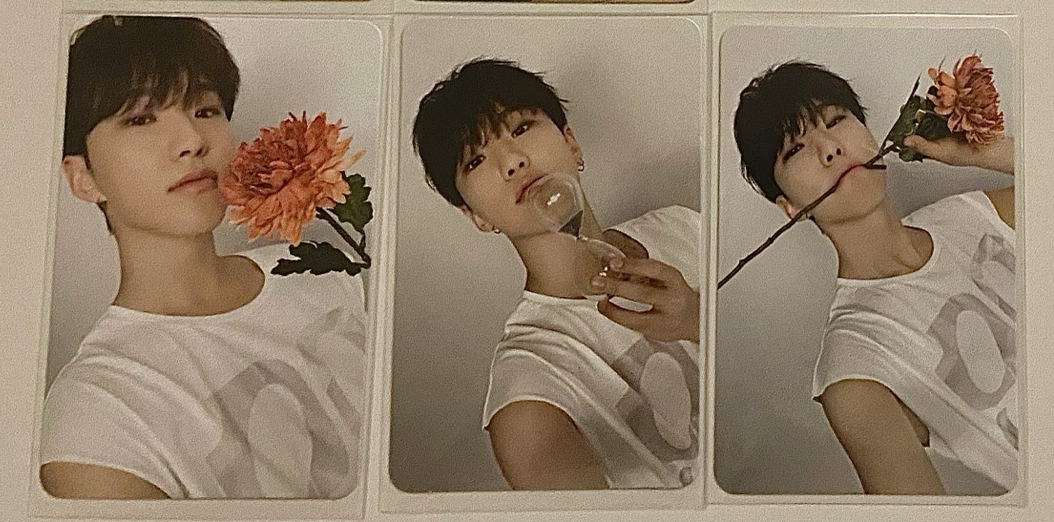 精選專克拉盤榮