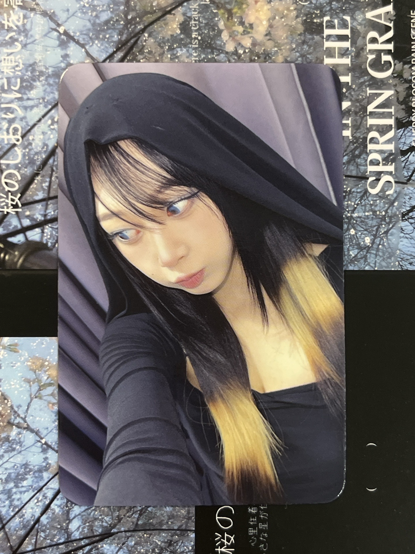 Drama sr 特典卡 星河預售A吉