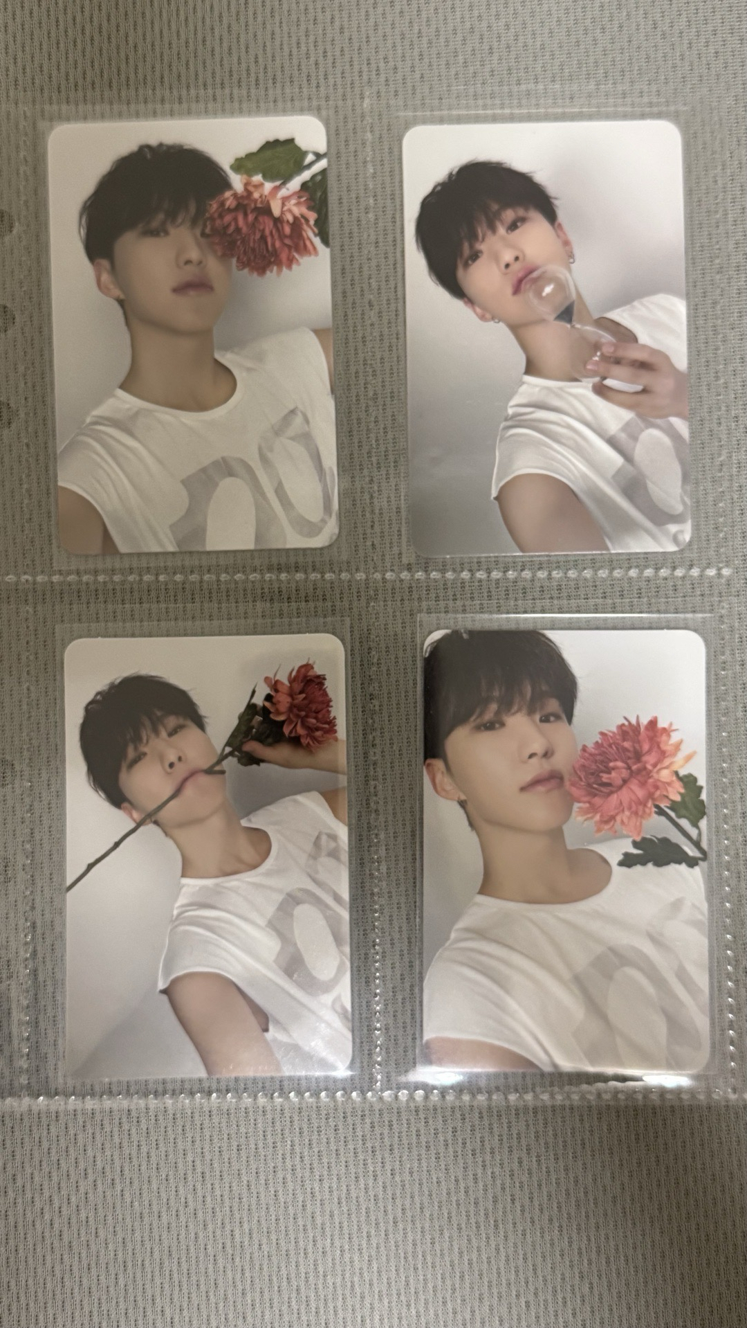 hoshi 精選專克拉盤卡一套