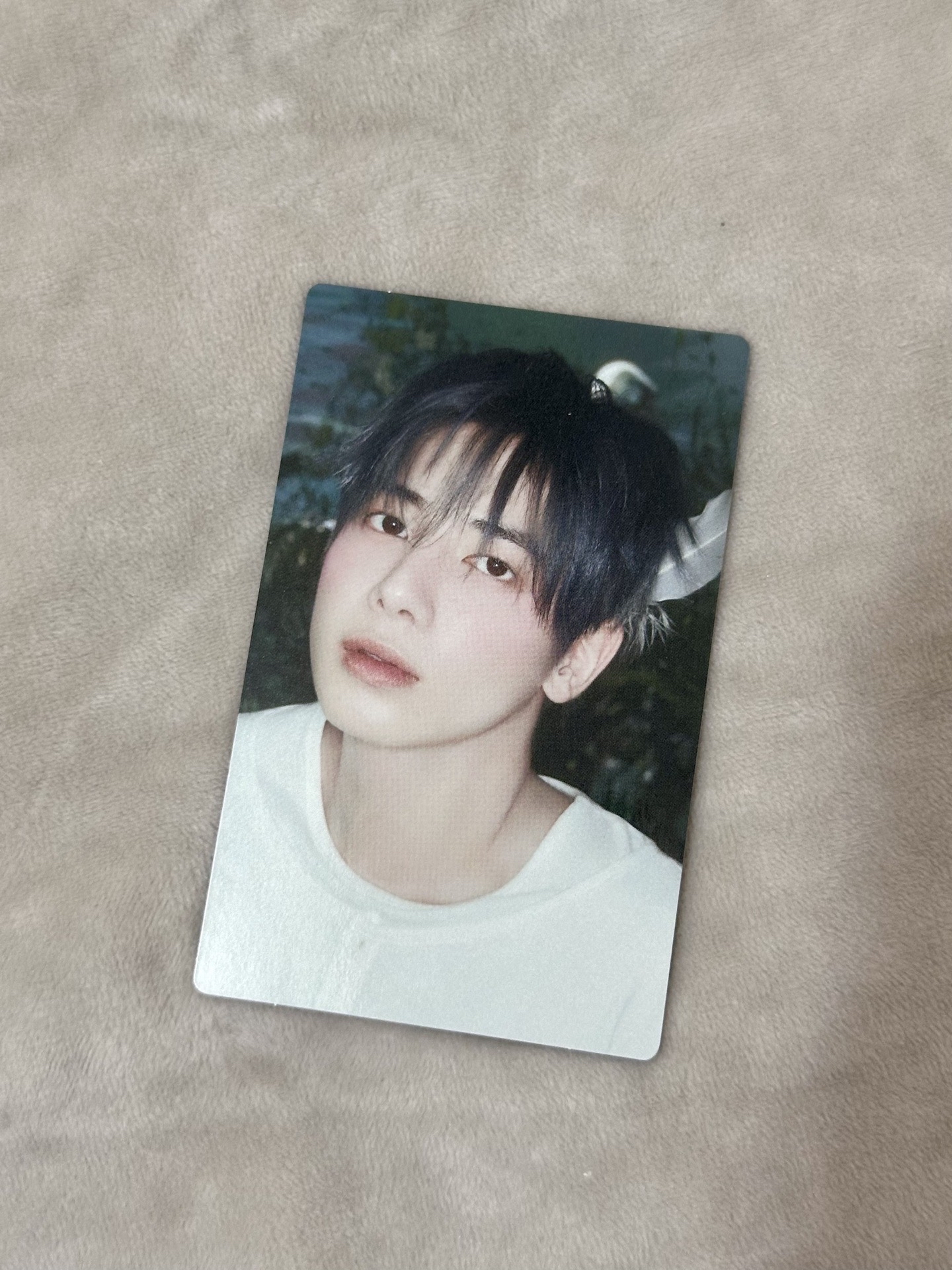 太顯（通常官拍）