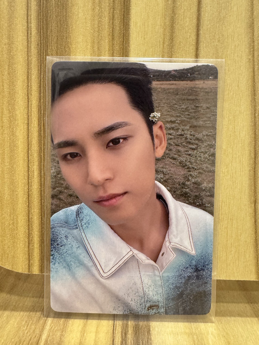 🟢迷11一直娛E奎