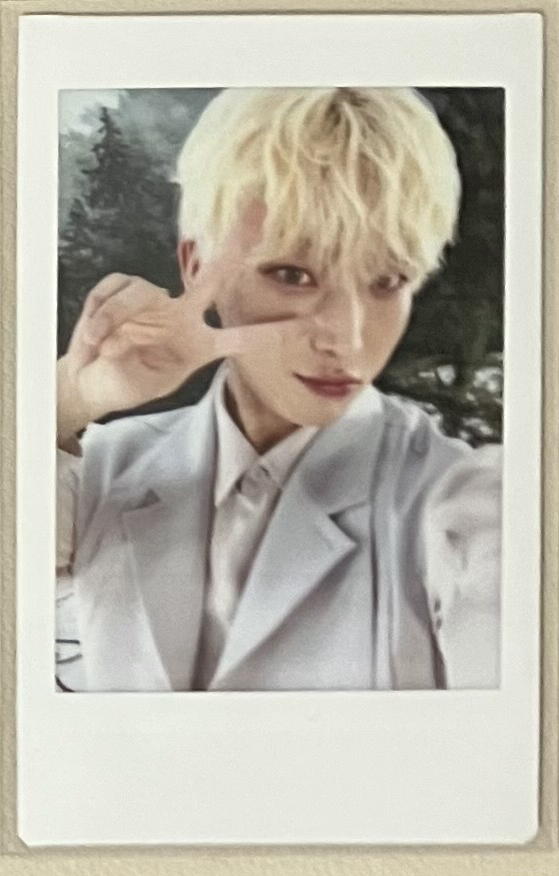 日巡 拍立得 禹