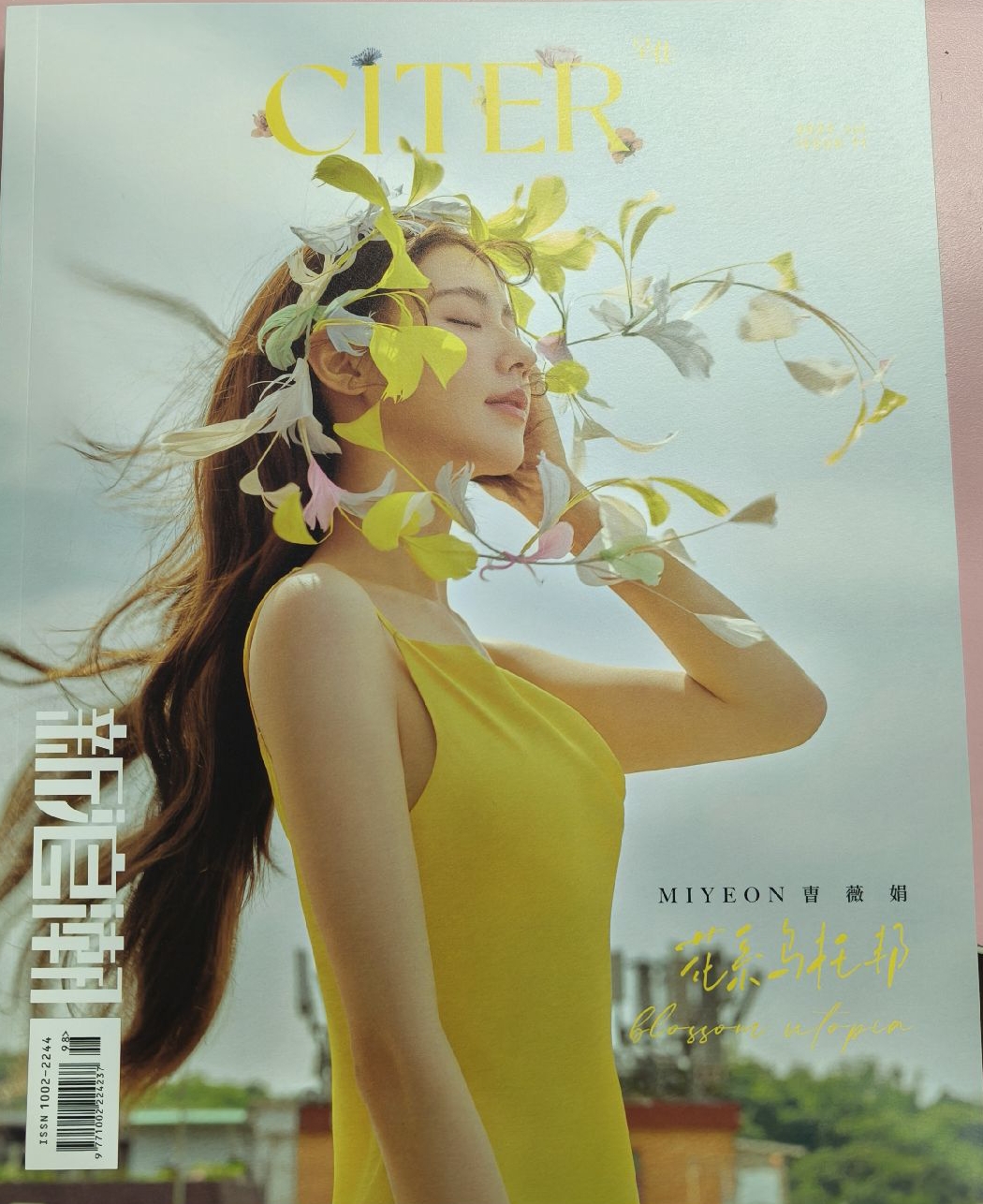 麵雜誌