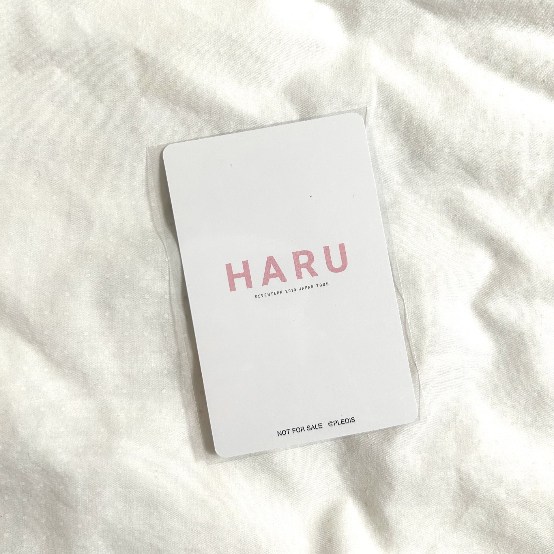 榮｜2019日巡 ‘HARU’ DVD卡